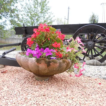 Bed and breakfast Pervinca 3*