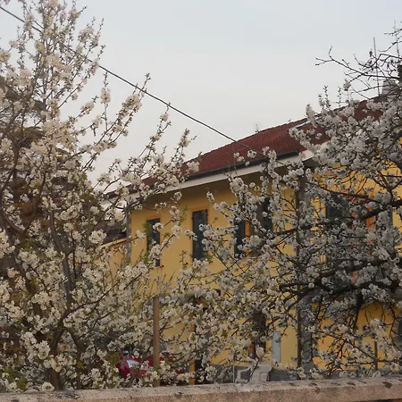 Pervinca 3* 로카 그리말다