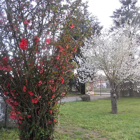 Pervinca Bed and breakfast