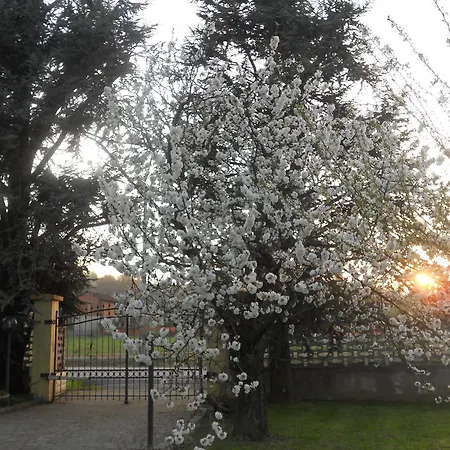 Bed and breakfast Pervinca