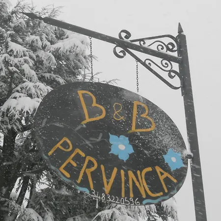 Pervinca 3*