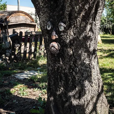 Bed & Breakfast Pervinca