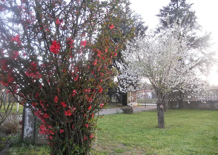 Pervinca Bed & Breakfast
