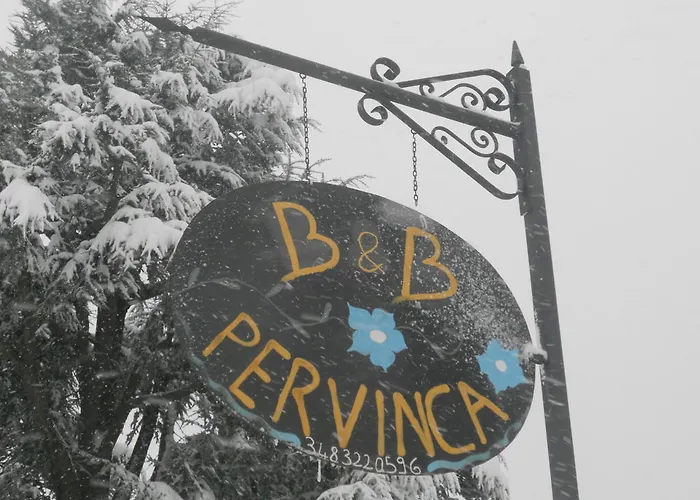 Pervinca 3*