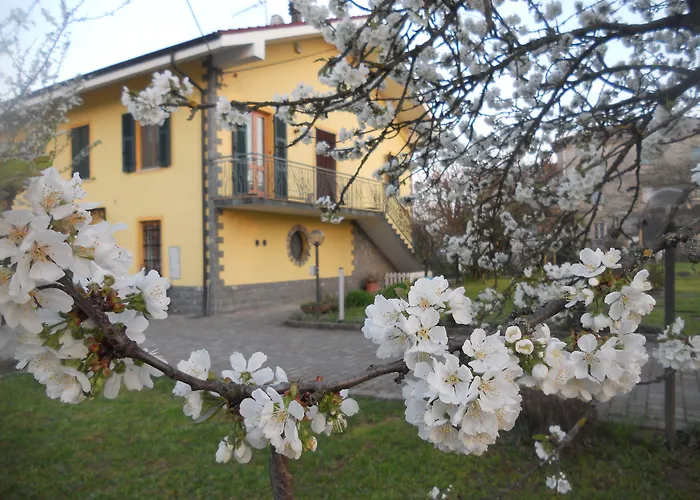 Pervinca Rocca Grimalda